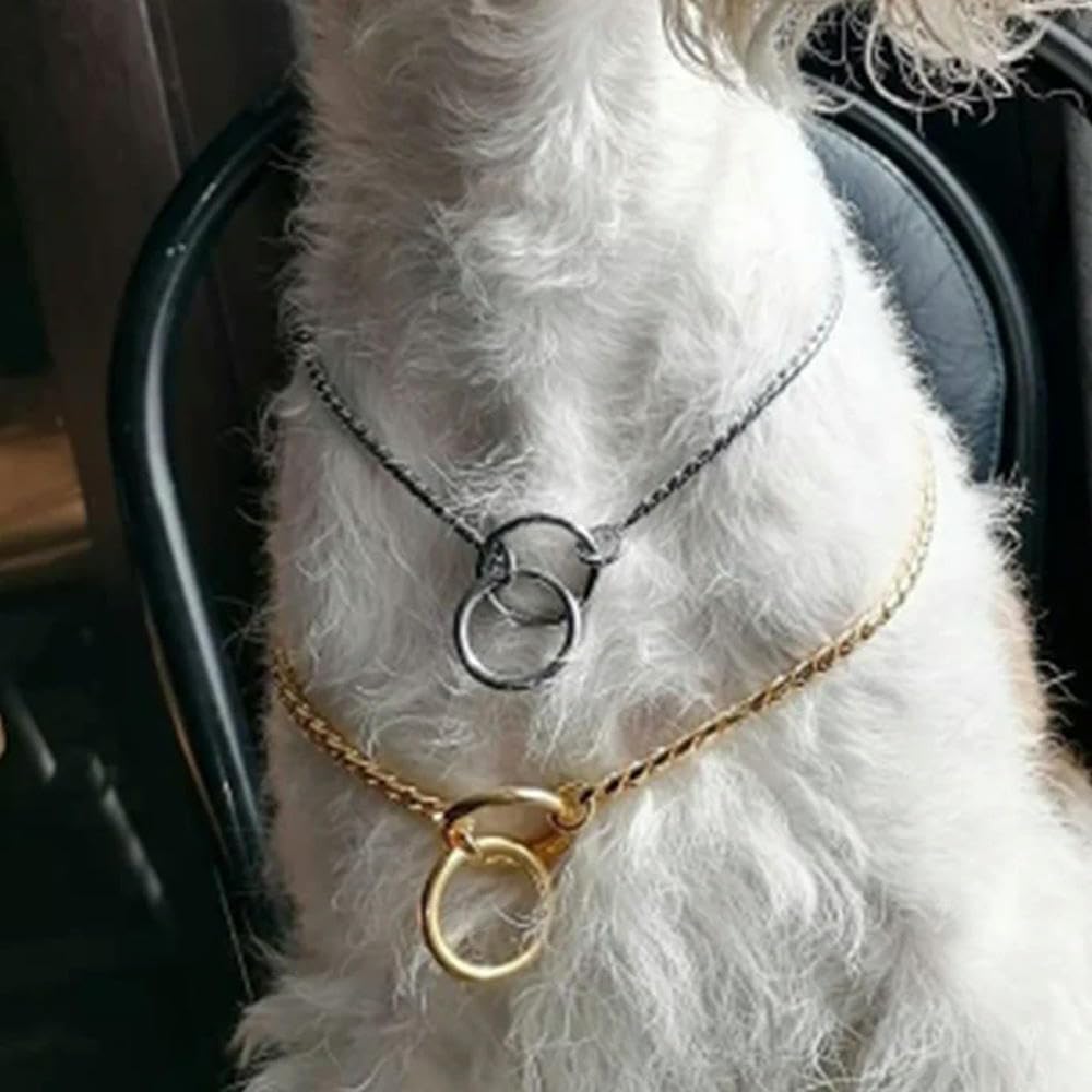 Correa De Metal Resistente Para Perros, Collar De Entrenamiento Ajustable | 55 Cm De Largo, Para Paseos Y Excursiones Al Aire Libre. Disponible En Varios Tamaños Para Gatos Y Perros (Rosengold 70 cm)