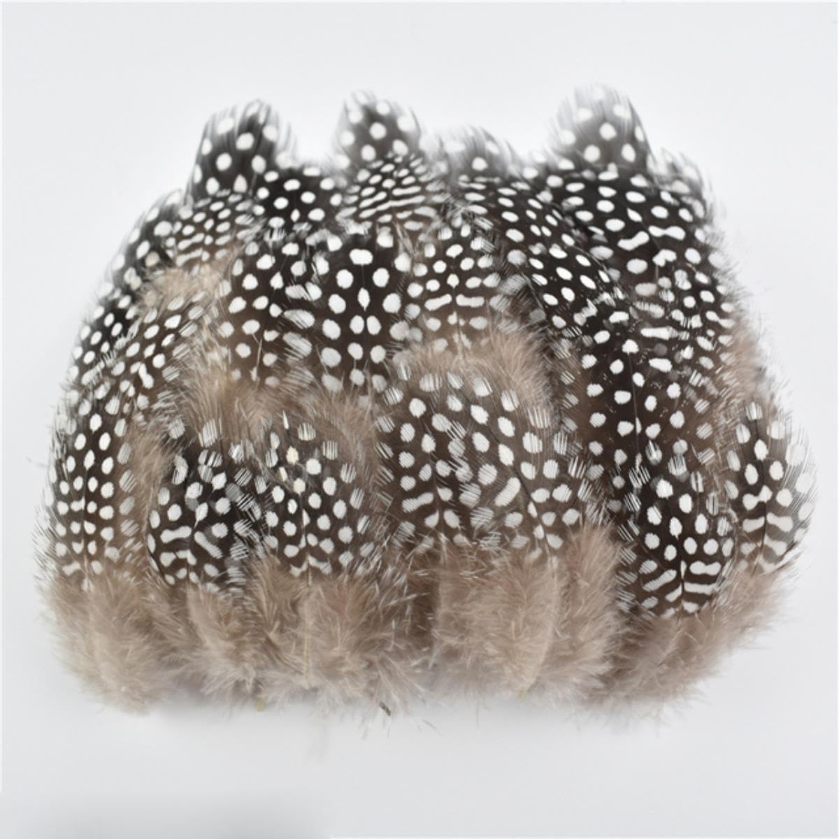 Natürliche Pfauenfasanenfedern, kleine Hühnergänsefedern, Materialien, Bastelzubehör, Dekoration, Größe 4–8 cm, 500 Stück
