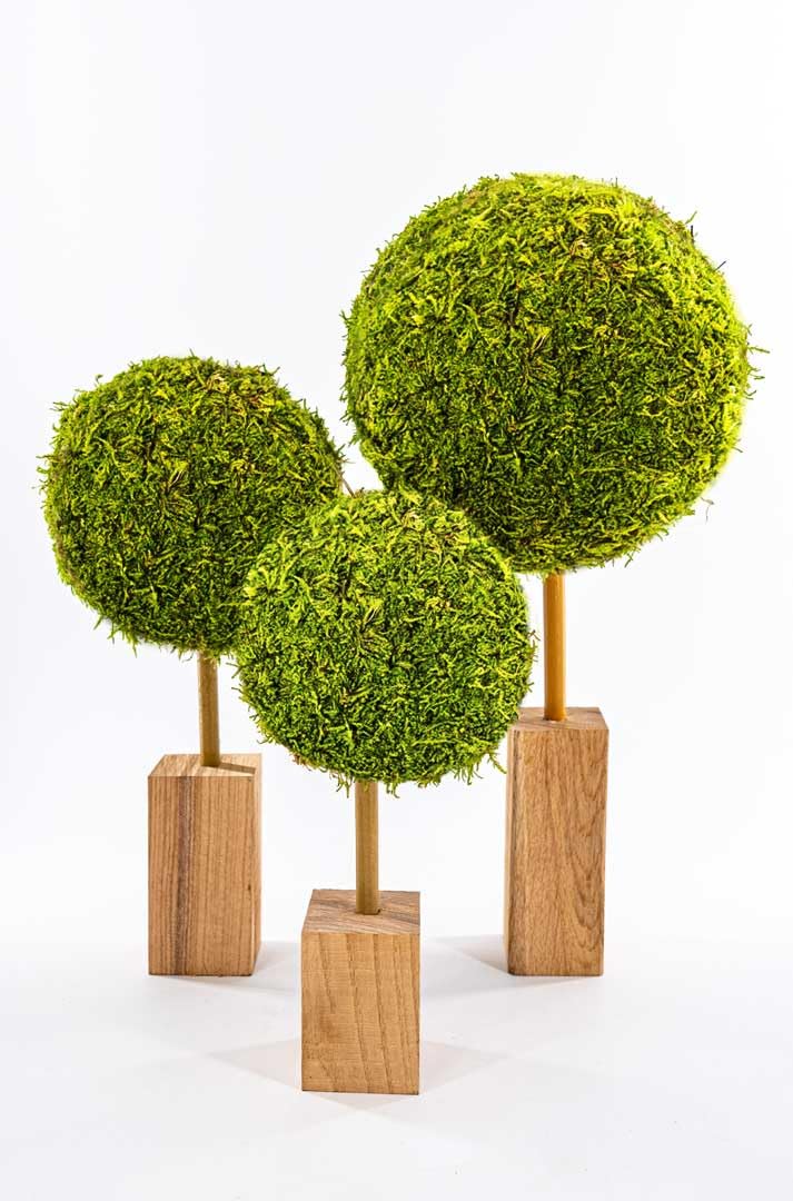 Generisch Moosbaum-Set von dekogreen, handgefertigt aus echtem Moos, 3 Stück in verschiedenen Größen, für stilvolle Geschenke oder Dekoration für zu Hause, Hochzeiten, Geburtstag