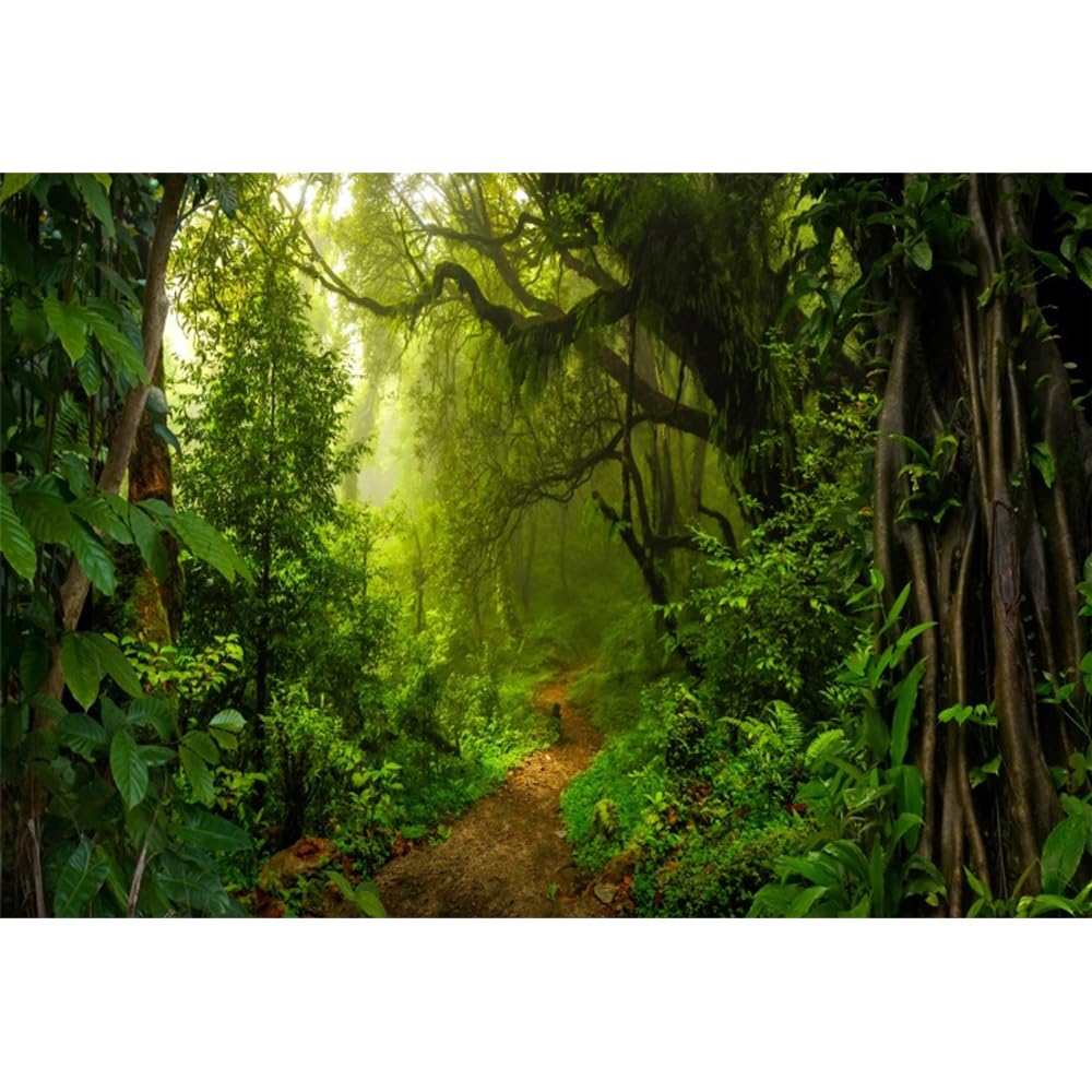 3x2,5m Selva Bosque Fondo Bosque de Cuento de Hadas luz del Sol Fotografía de Fondo Primavera Bosque Encantado Telón de Fondo Decoración para Fiestas de cumpleaños Atrezzo de Estudio