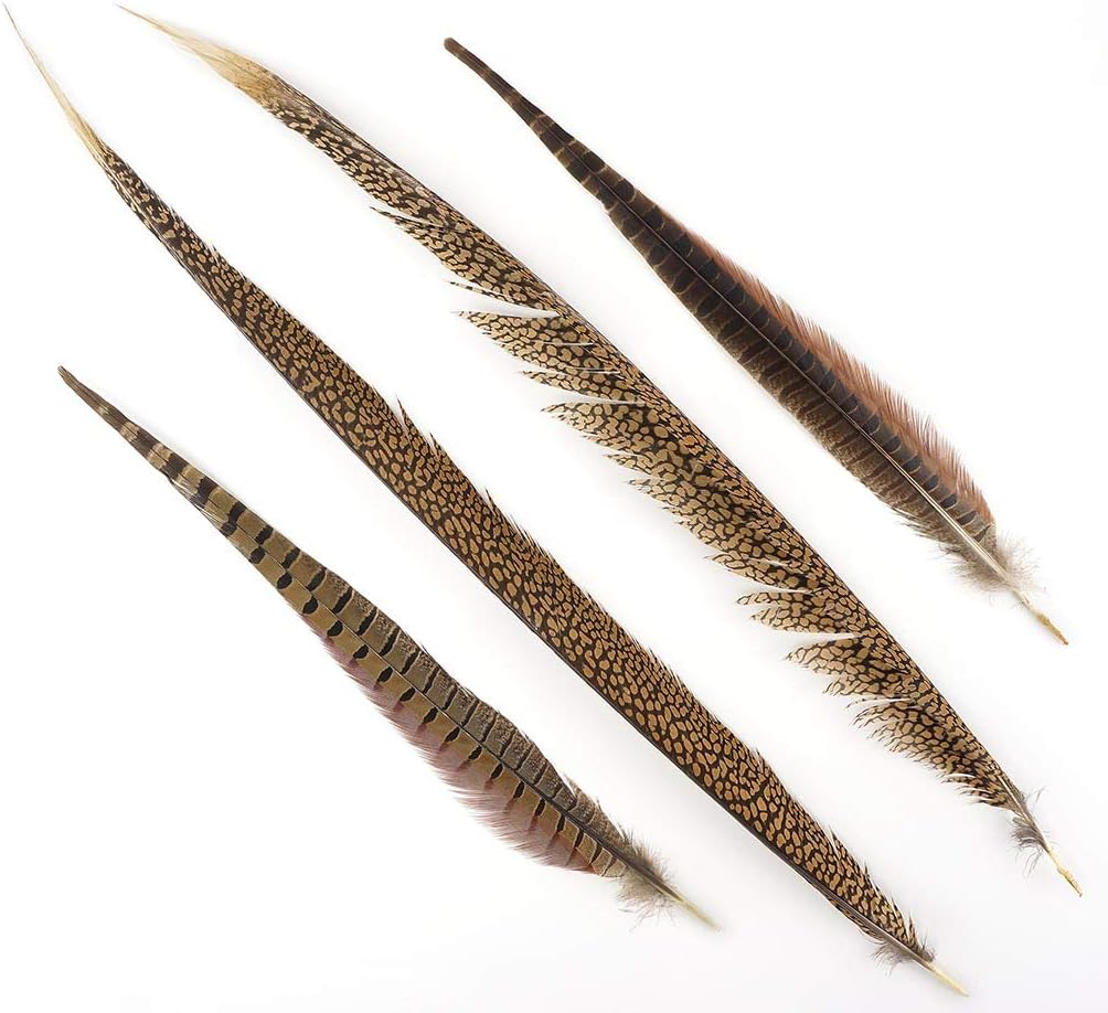 Pheasant Tail Feather Craft Supplies-16-30 Natural Home Decor 10pcs Golden Brown