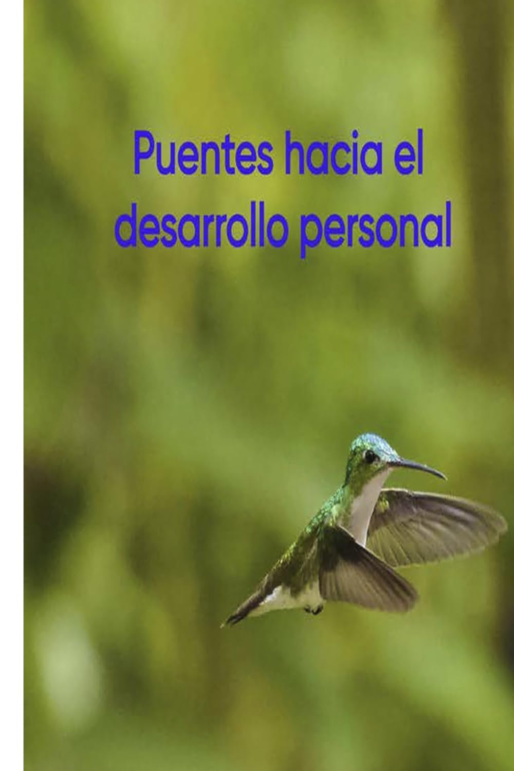 Puentes hacia el desarrollo personal: Descubre el poder que tienes para transformar tu mundo