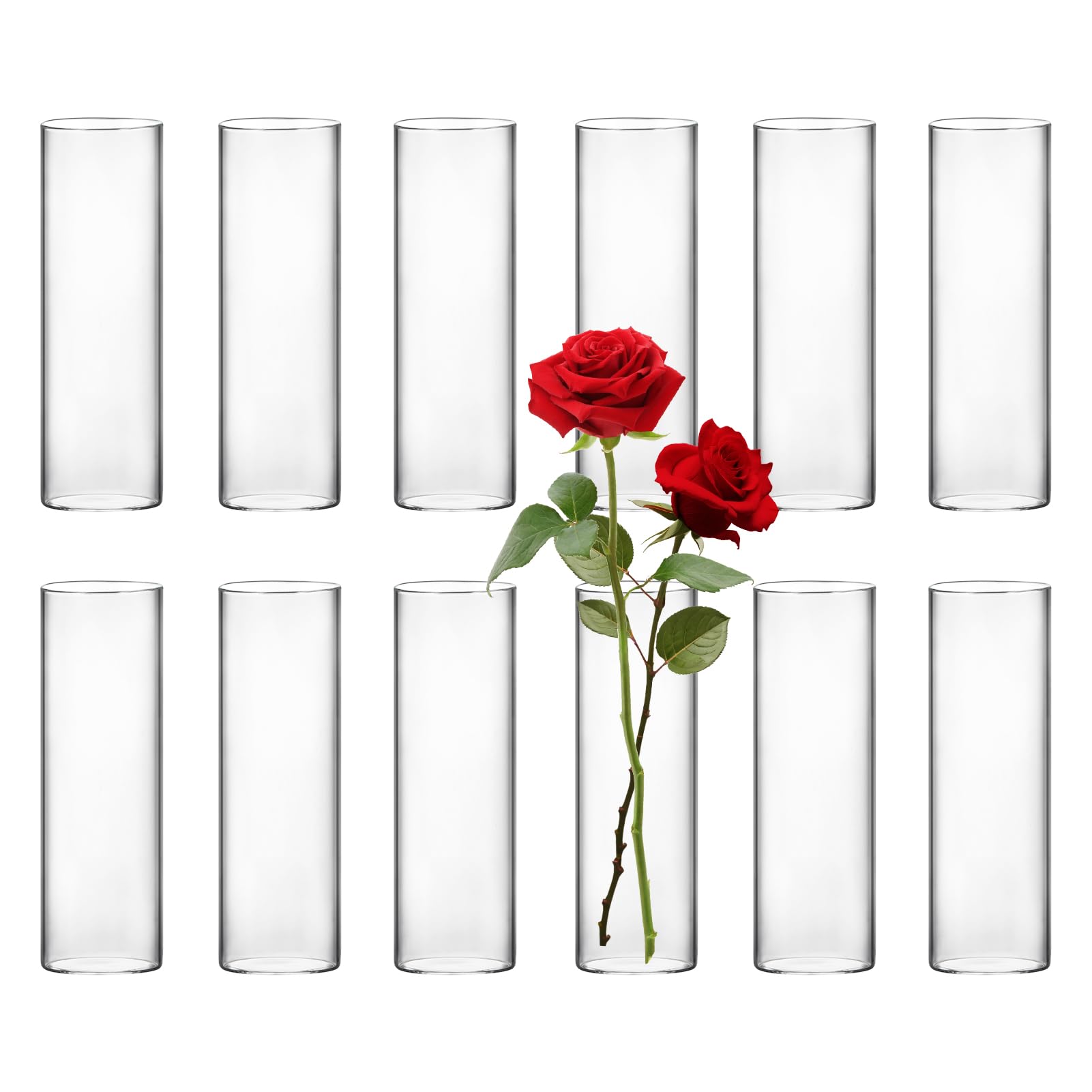 Seelenruhe Glass Cylinder Bud Vases for Centerpieces, 7.1" Tall Clear Slim Glass Flower Vases, Small Flower Vase for Single Bouquet Flower 12pcs