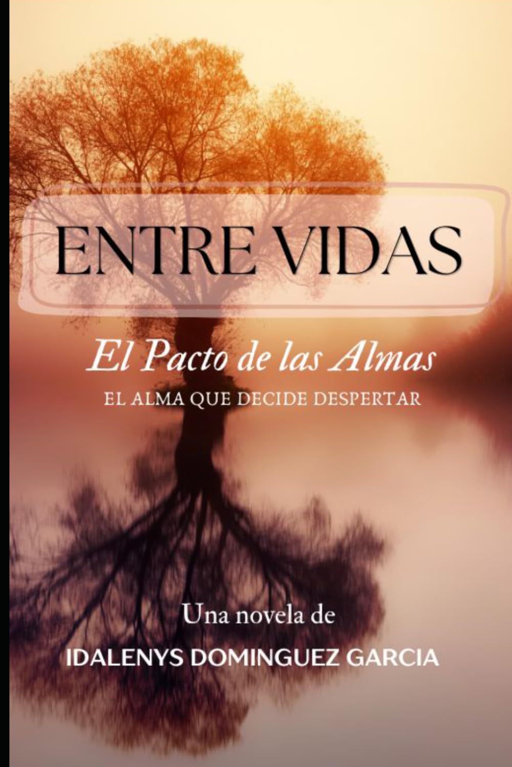 Entre Vidas: El Pacto de las Almas