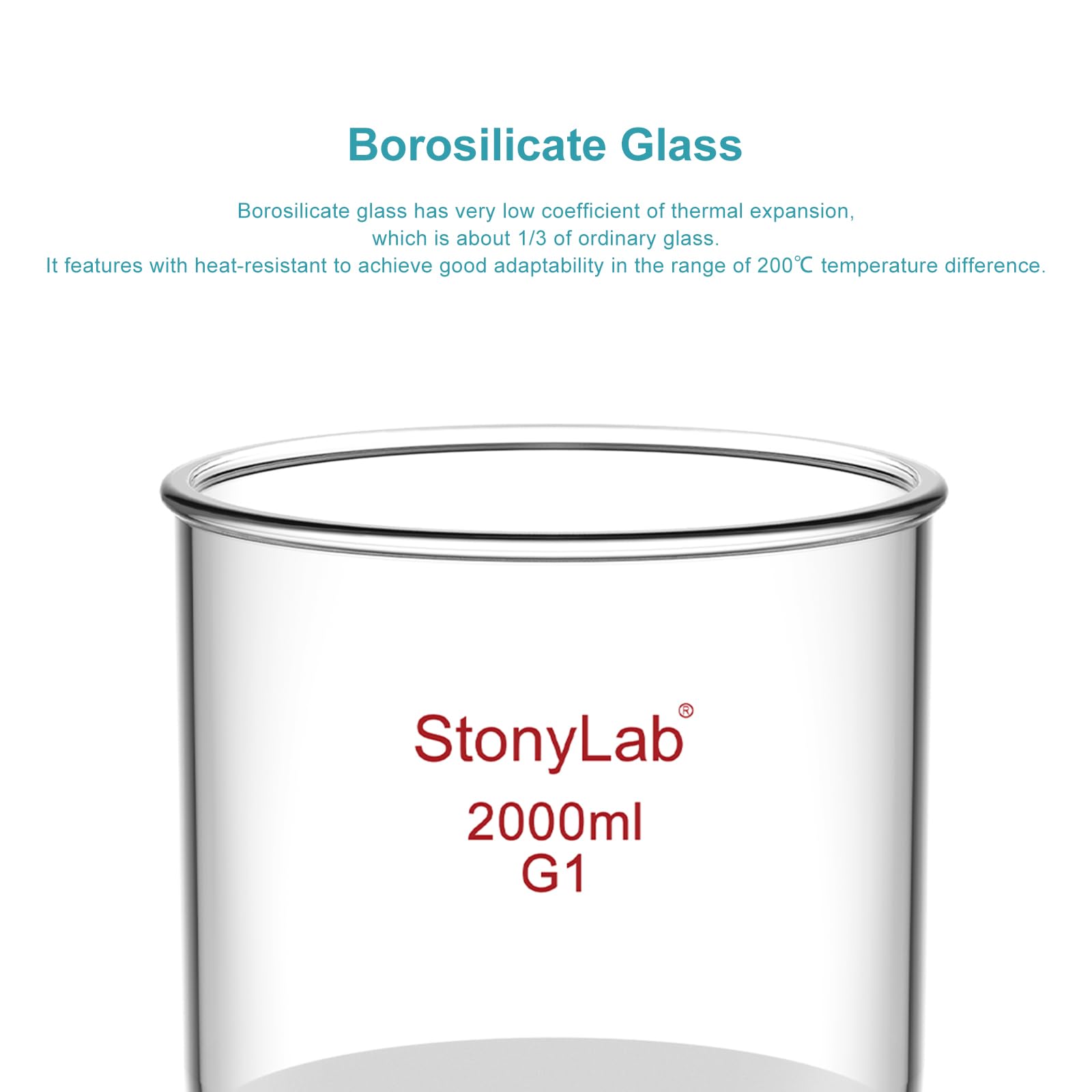 StonyLab Borosilikatglas Buchner Filtertrichter mit grober Fritte, 155mm Scheibendurchmesser, 145mm Tiefe, mit 24/40 Standard Taper Innengelenk und vakuumgezahnten Rohren (2000ml)