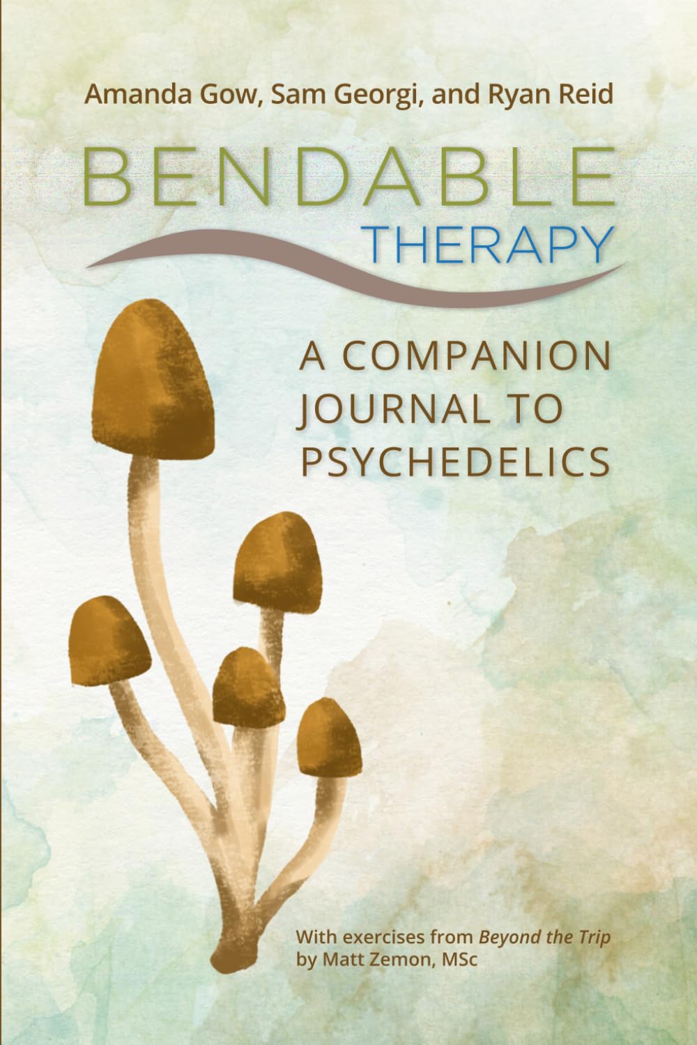 Bendable Therapy: A Companion Journal for Psychedelics