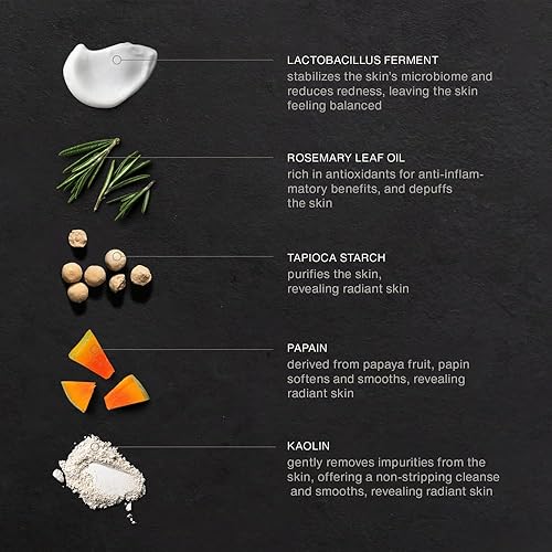 Miniatura 2 de evolvetogether x Joanna - Limpiador facial con enzima de romero checo dos veces al día para mujeres y hombres, fórmula enzimática hidratante y suave