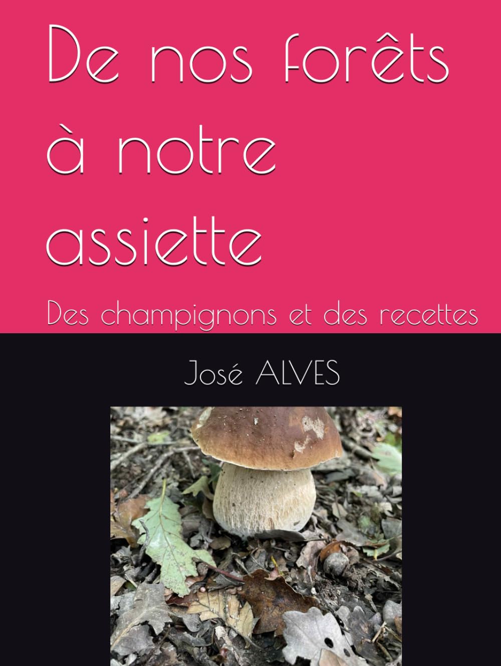 De nos forêts à notre assiette: Des champignons et des recettes