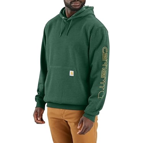 Carhartt mens Loose Fit Midweight Logo Sleeve Graphic Sweatshirt Closeout