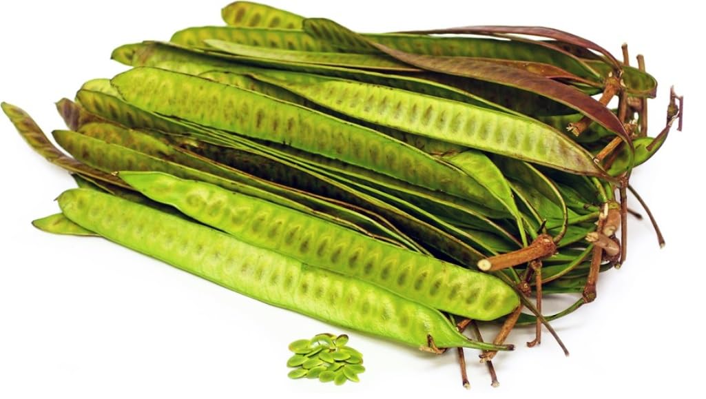 1 LB Fresh Whole Guaje-Rojo Beans Guaje Verde Beans Huajes Hauxya Seed Pods