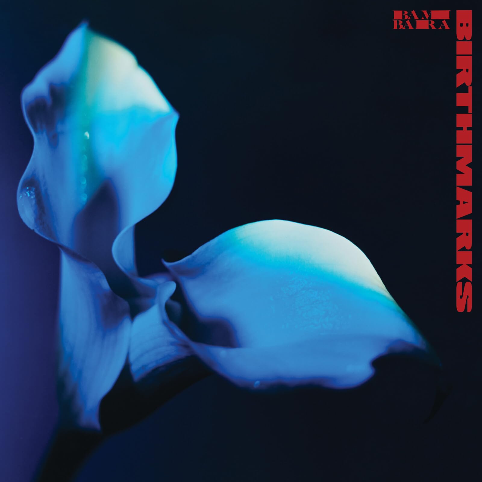 Bambara Birthmarks CD NEW