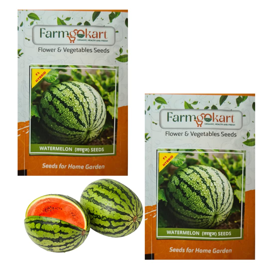 2 Packets of WATER MELON (STRIPED) F1- HYBRID SEEDS| 20 Nos Seed Per Packet | Best Suitable For Terrace And Home Gardening | Quality vegetable and Herbs Seeds Pouch| (B0BQDPHL1Y) Amazon Price History, Amazon Price Tracker