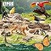 THINKBAY 12PCS Realistic Rainforest Animal Figurines Toys, Rainforest Diorama Supplies Party Favor, Jungle Animals Figures Toys Learning Toys for Toddlers Boys Girls, Valentine's Day Gifts for Kids