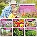 LED Grow Light Full Spectrum Panel Indoor Plants Growing Lights Plant Lamp for Seeding Vegetable Flower (25W, Silver)