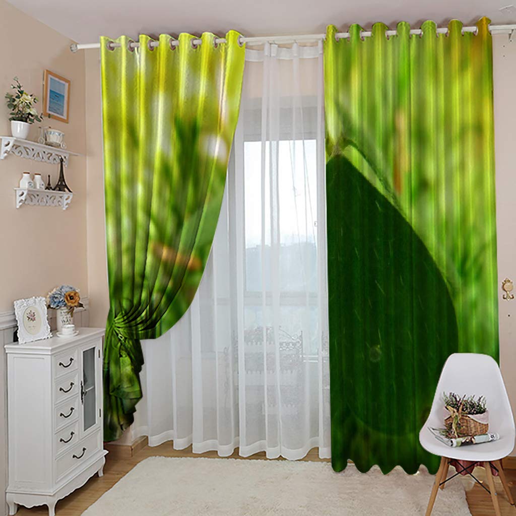 Gardinen Blickdicht Vorhänge 2er Set mit Ösen und Raffhalter, Morbuy 3D Drucken Modern Verdunkelungs Thermo Vorhänge Vorhänge-Set für Wohnzimmer Schlafzimmer Kinderzimmer (168x228cm *2,Kleeblatt)