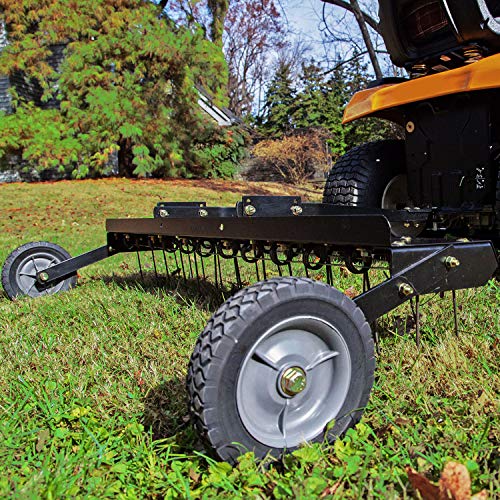 Brinly Dt-48Bh Tow Behind Dethatcher, 48-Inch #TOP6