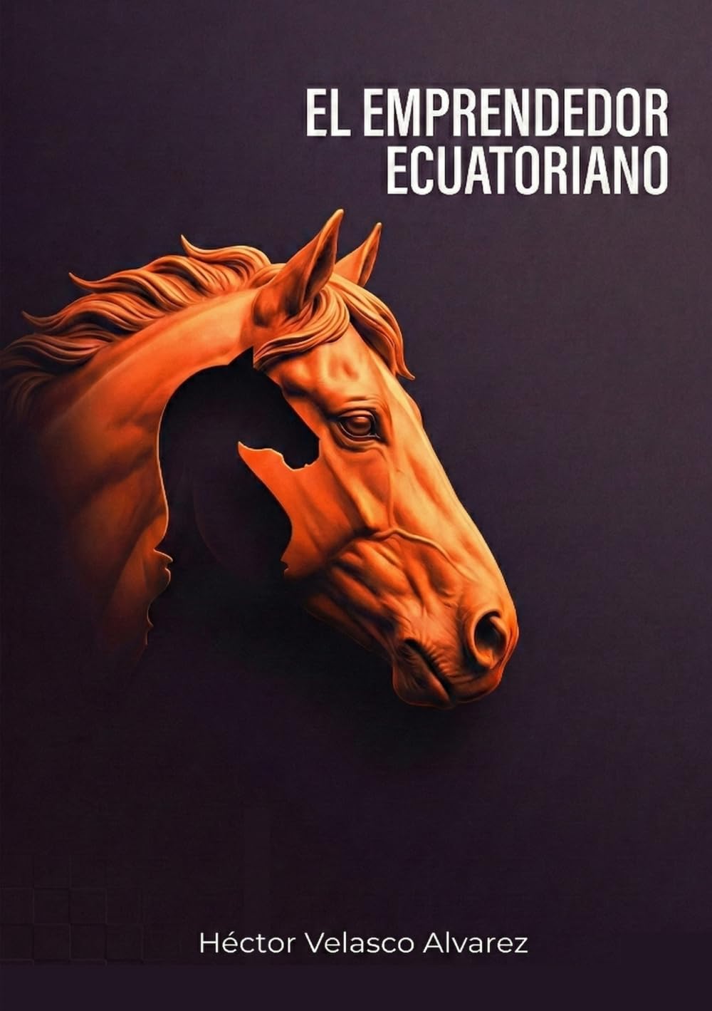 El Emprendedor Ecuatoriano: Una historia real de emprendimiento, resiliencia y propósito desde Ecuador