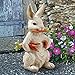 Design Toscano EU1054 Carotene The Rabbit with Carrots Easter Décor, Indoor/Outdoor Garden Statue, 6 Inches Wide, 12 Inches Tall, Handcast Polyresin, Full Color Finish
