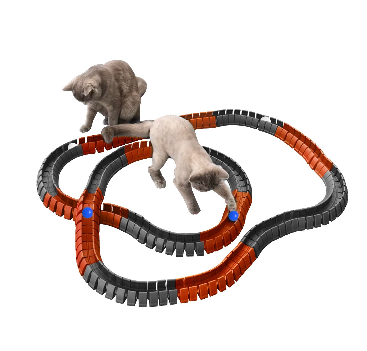 Magic Cat Track and Ball Toy Double Size for Cats, Kittens, Pets, Kitties, consisting of 16' Flexible Tracks and 4 Balls, 8ft of Orange Tracks, 8ft of Gray Tracks with 2 White Balls and 2 Blue Balls