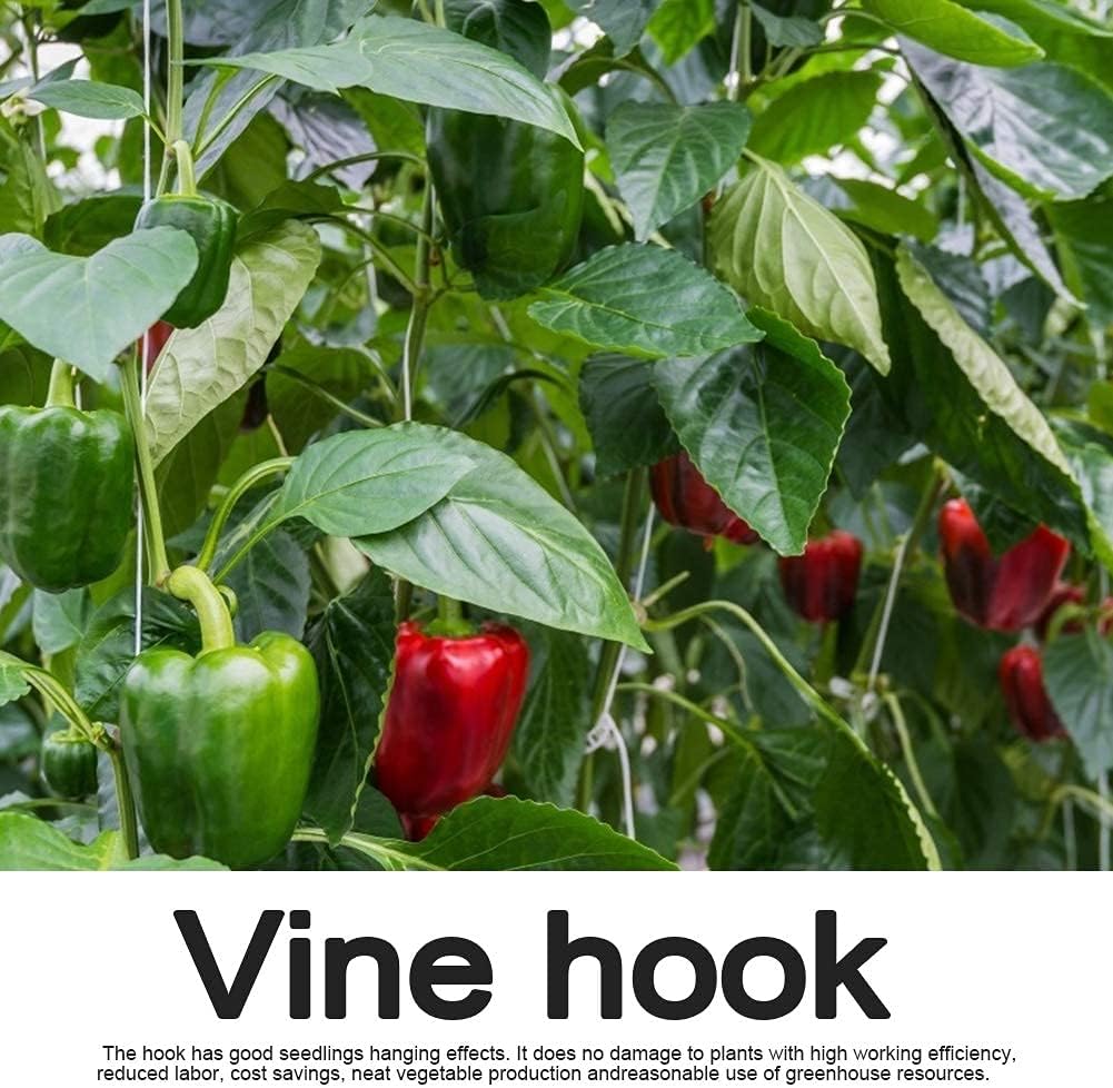 DAMEING Plant Climbing Hooks, Tomato Support J Hook Garden Hooks to Prevent Tomatoes from Pinching or Falling Off (10Pcs)