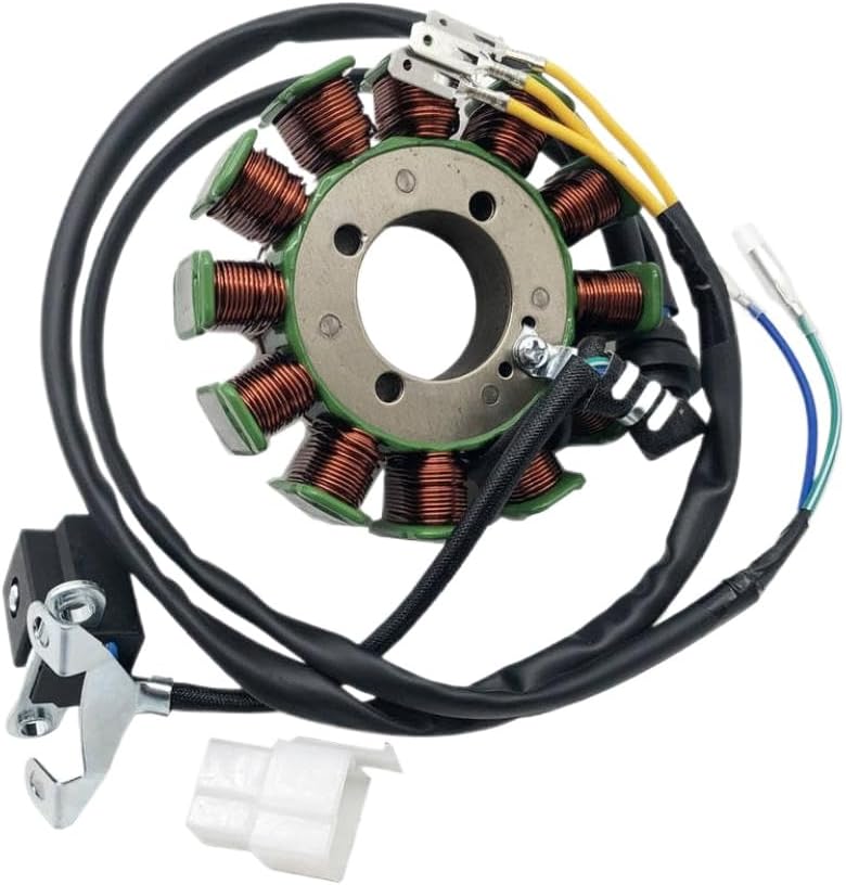 12 Coils 5 Wires Ignition Stator Magneto Replacement For 31101-100-0000 Compatible With Haili SP307-J Big Power XY250ST-9 STIXE