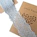 LACE REALM 2.5″×10 Yards Stretch Floral Pattern Lace Ribbon Trim Lace for Headbands Garters Decorating Floral Designing & Crafts (Grey)