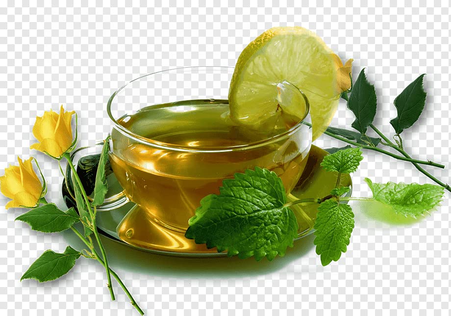 Image of Nature's Park Herb - Dried Mint Leaves- 100% Natural & Sun Dried (Pudina Patta) Pet Jar (35gm)