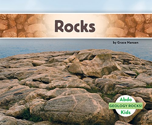 Rocks 1629709093 Book Cover