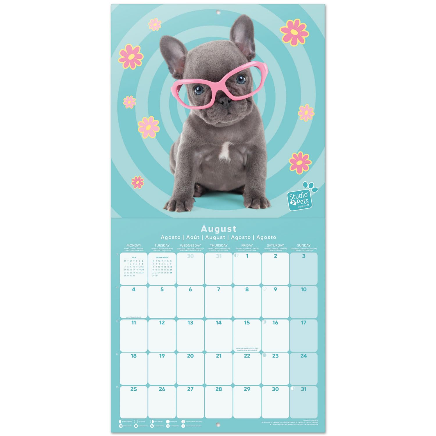 Grupo Erik - Calendrier De Bureau 2025 Chats 18x20cm | De Janvier à Décembre Multilingue