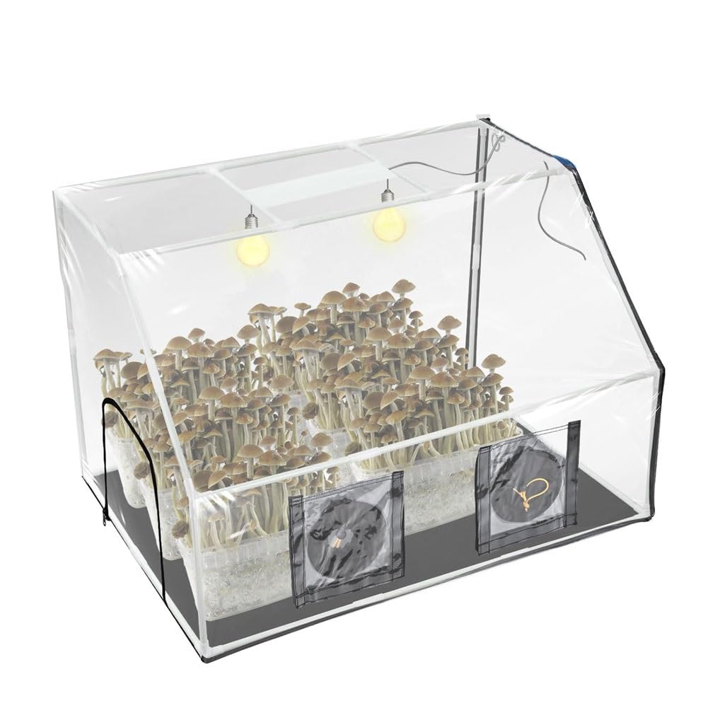 Stations de propagation champignons grand volume 90x60x60cm