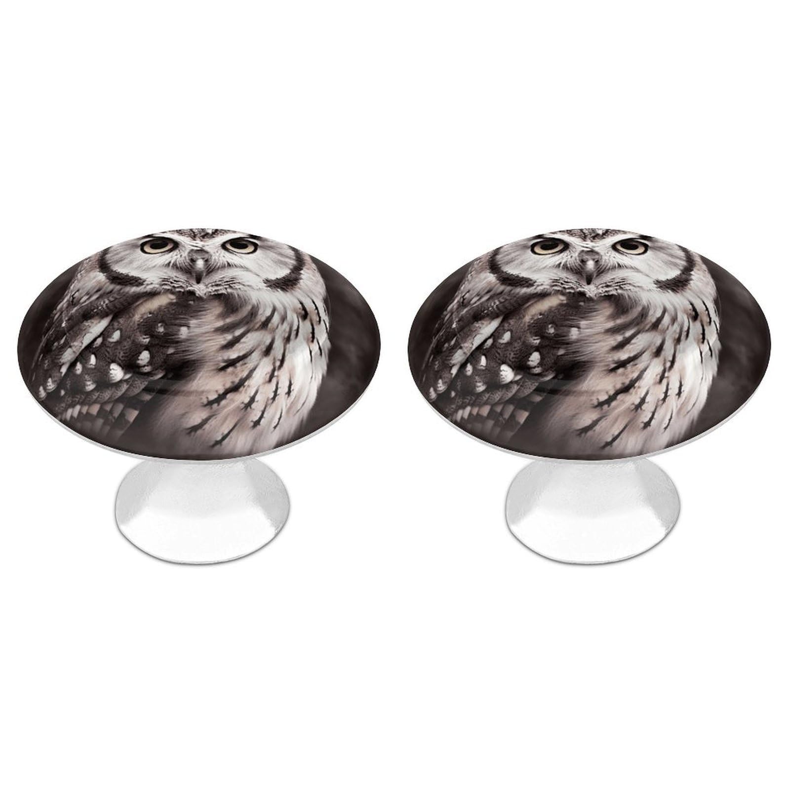 Fodpand White 2 Pack Cabinet Knobs 1.1 Inch Single Hole Drawer Pulls Handles Decorative Owl Black Furniture Knobs For Dresser Kitchen Bathroom Cupboard Wardrobe Vanity Closet Door Hardware