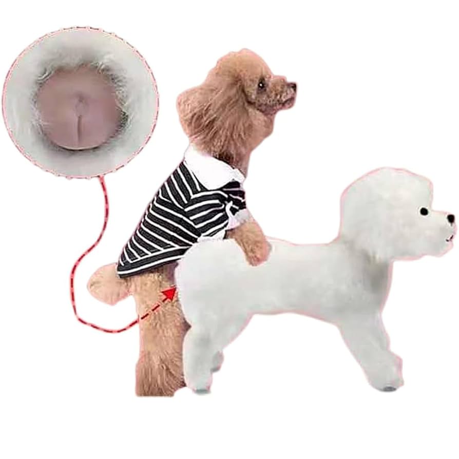 Silver Collection 犬の形のセット 銀の犬、バセットハウンドペンダント シルバー925 SV (犬