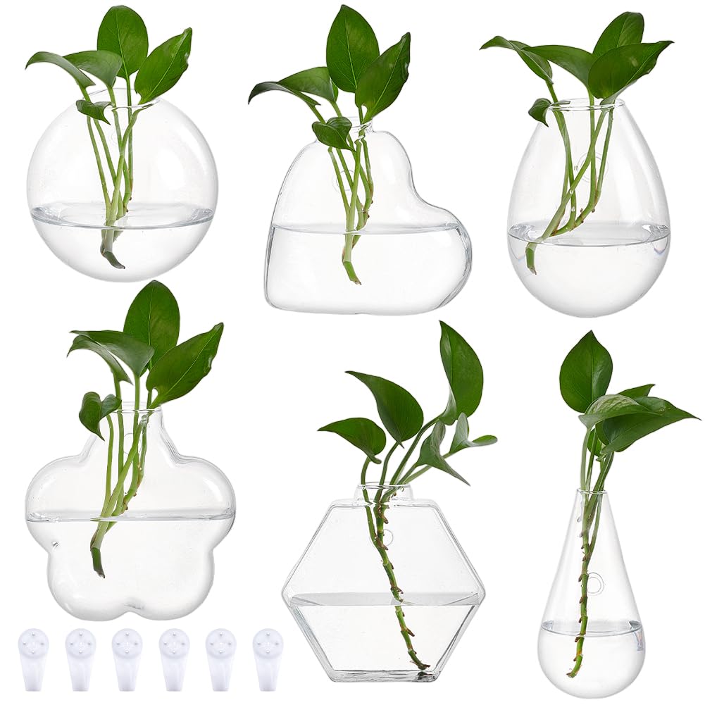 Pot de fleurs mural en verre lot de 6 pour décoration de maison et salon
