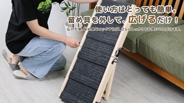 Amazon | [Rocotto/5段階高さ調整] ペットスロープ 犬 スロープ