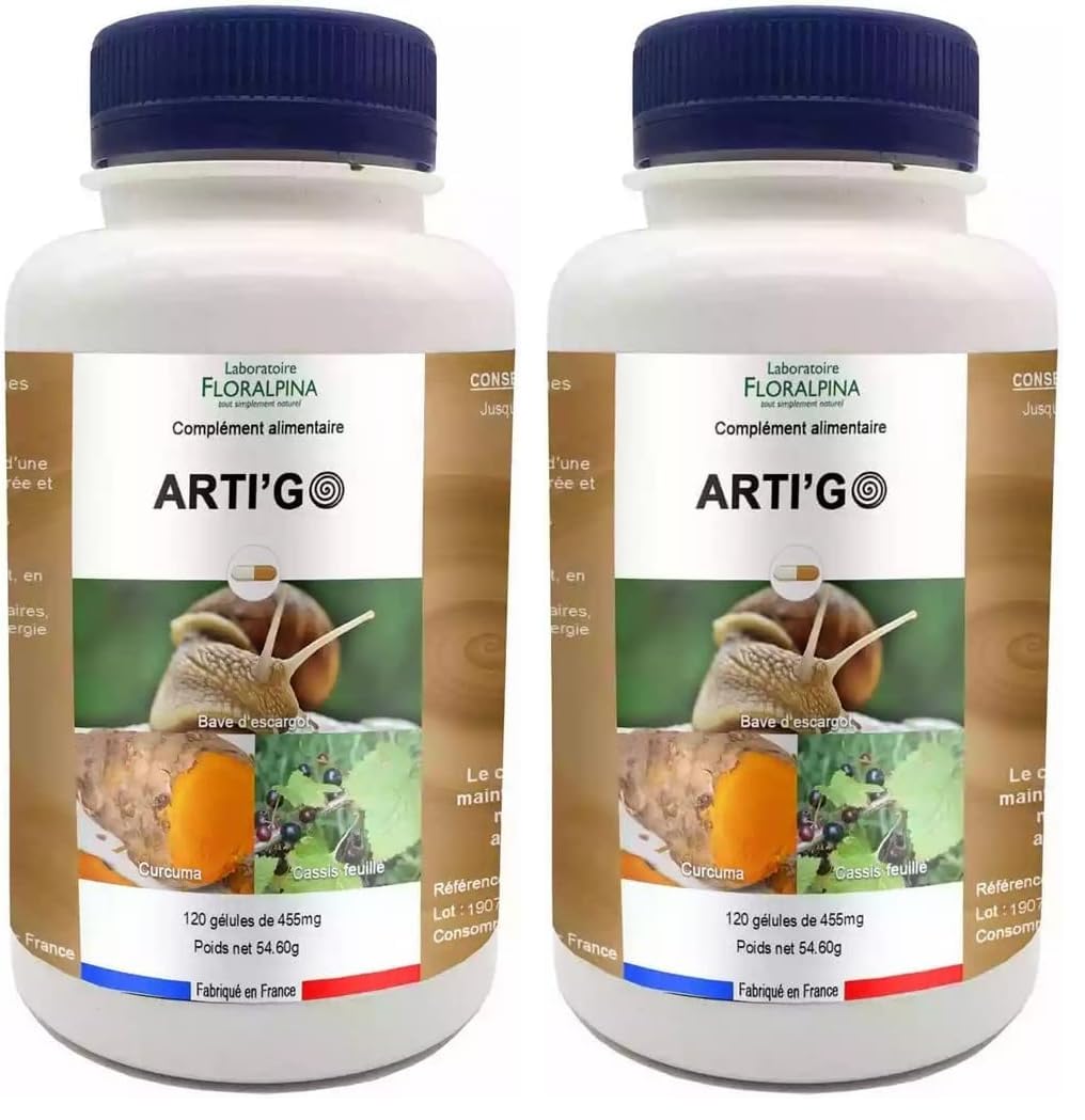 ARTI GO 120 Gélules – Cure 40 Jours | Curcuma 510mg + Boswellia + Cassis | Favorise le Confort Articulaire | Soutient la Mobilité | Conditionnée en France, Laboratoire FLORALPINA (Lot de 2)