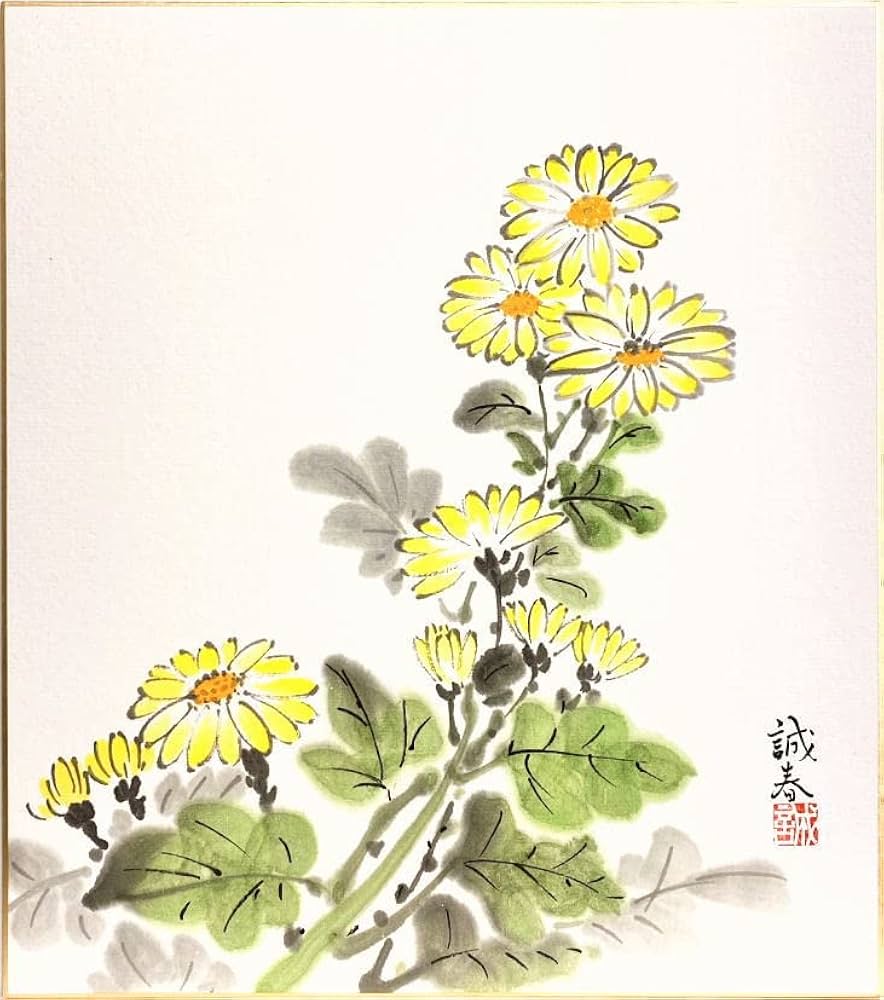 Amazon.co.jp: 楠田誠春『小菊』色紙絵 : ホーム＆キッチン