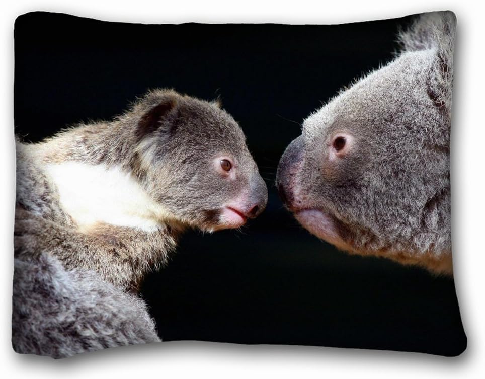 Throw Pillow Case Animals koalas couple s tenderness 20"26