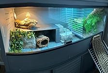 Review Image by Courtney Courtney