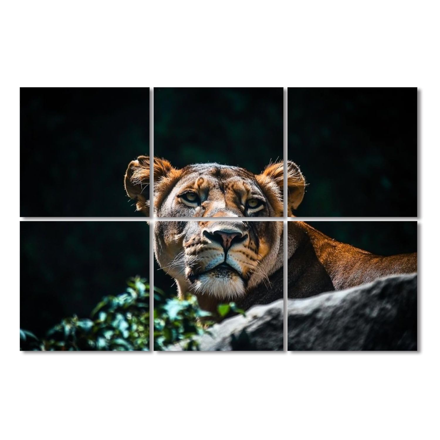 6 Pack Acoustic Panels Lioness rock zoo wild animals Acoustical Soundproof Wall Panels Sound Absorbing Panel Reduce Room Echo Reverberation Acoustic Treatment