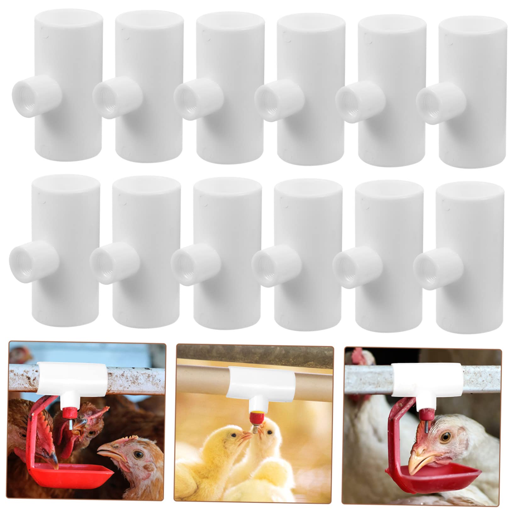 DOITOOL abbeveratoio Automatico per Pulcini Galline piccioni quaglie