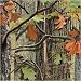 18-Count Paper Beverage Napkins, Hunting Camo