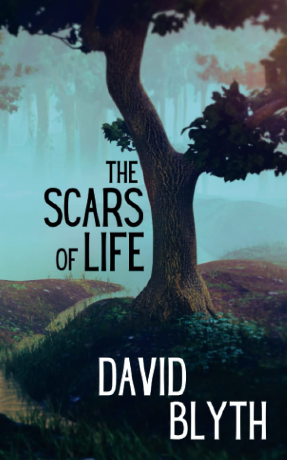 The Scars of Life: A Fractured Romance