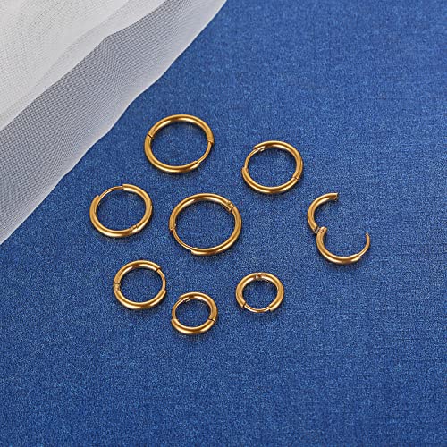 Image of 316L Surgical Stainless Steel Small Hoop Earrings 8mm 10mm 12mm 14mm Hypoallergenic Huggie Hoop Earrings Helix Lobes Hinged Sleeper Earrings Men Women for Cartilage Piercings