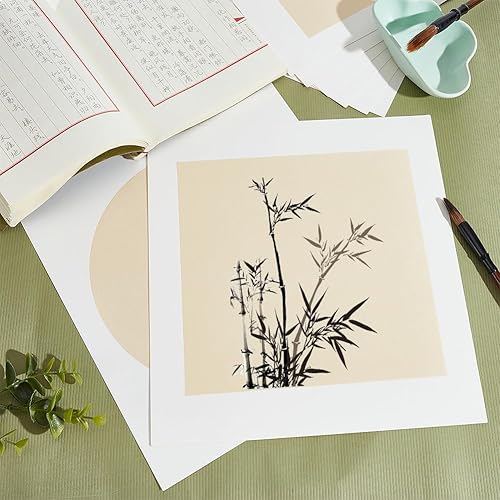 Miniatura 4 de PH PandaHall 20 piezas de papel Shikishi premontado Xuan papel chino papel chino crudo Shikishi tablero caligrafía china suministros de dibujo papel