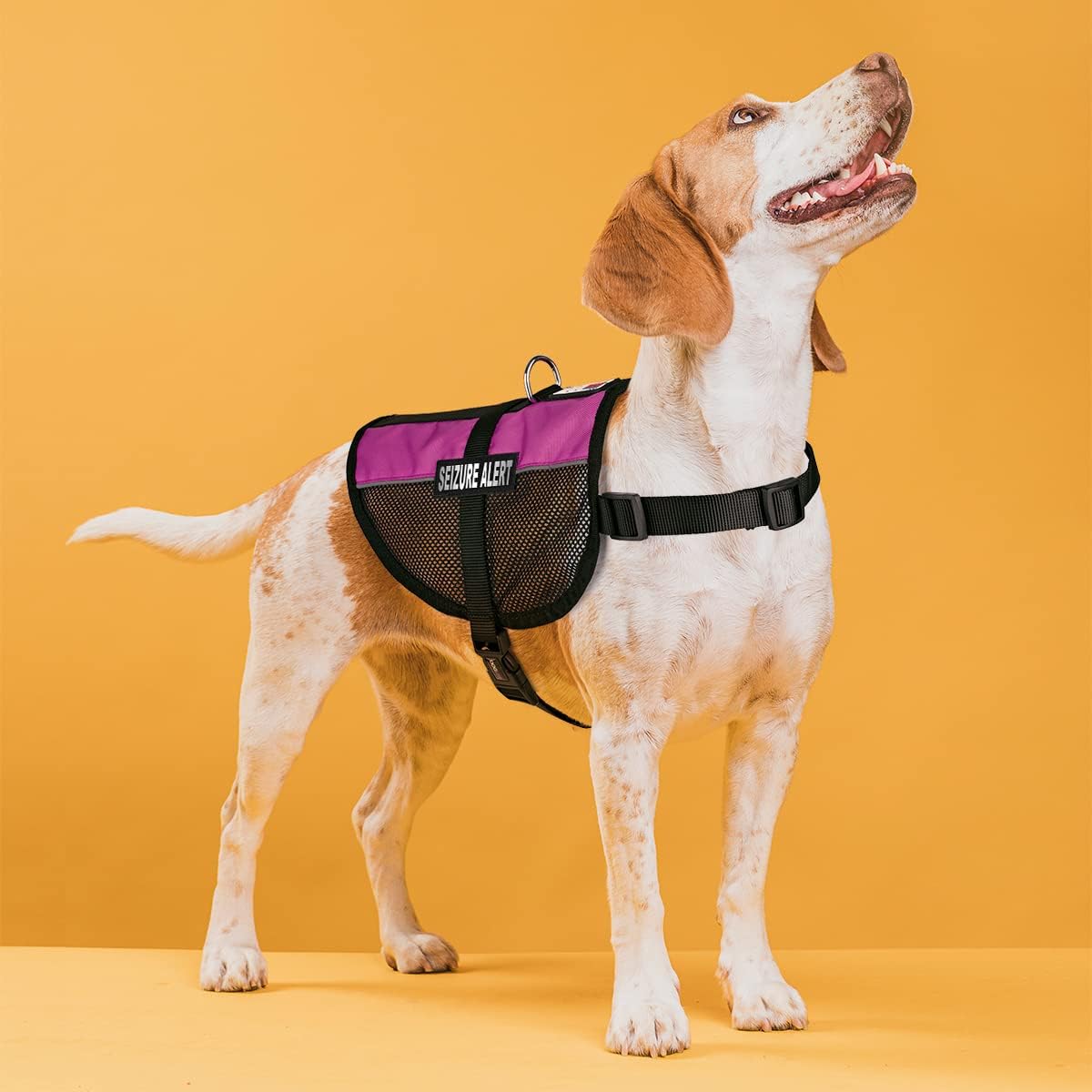 Dogline MaxAire Multi-Purpose Mesh Vest for Dogs with 2 Removable Seizure Alert Patches, 13"-16"/Small, Pink
