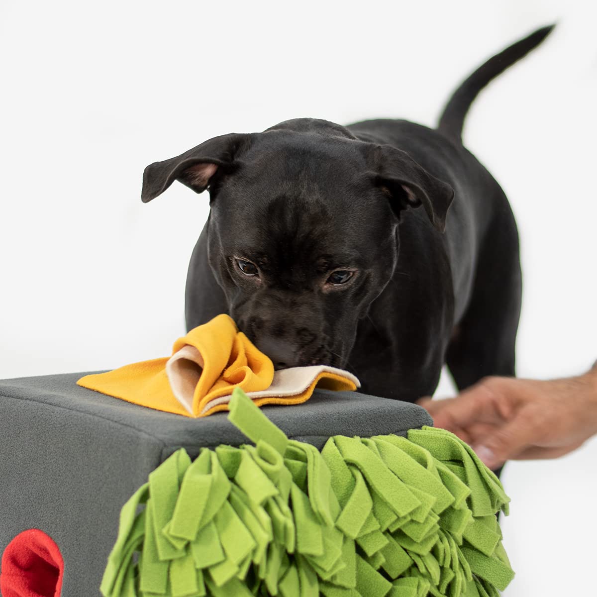 KNAUDER'S BEST Sniffbox - Alfombra para perros grande, juguete de inteligencia, juego de búsqueda, anticaídas, duradera, lavable y apta para secadora