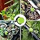 VINFUTUR 100pcs Bewässerung Tropfer Sprinkler Micro Tropfer Garten Bewässerungssystem Tropfbewässerung 8 Loch Micro Sprinklerköpfe