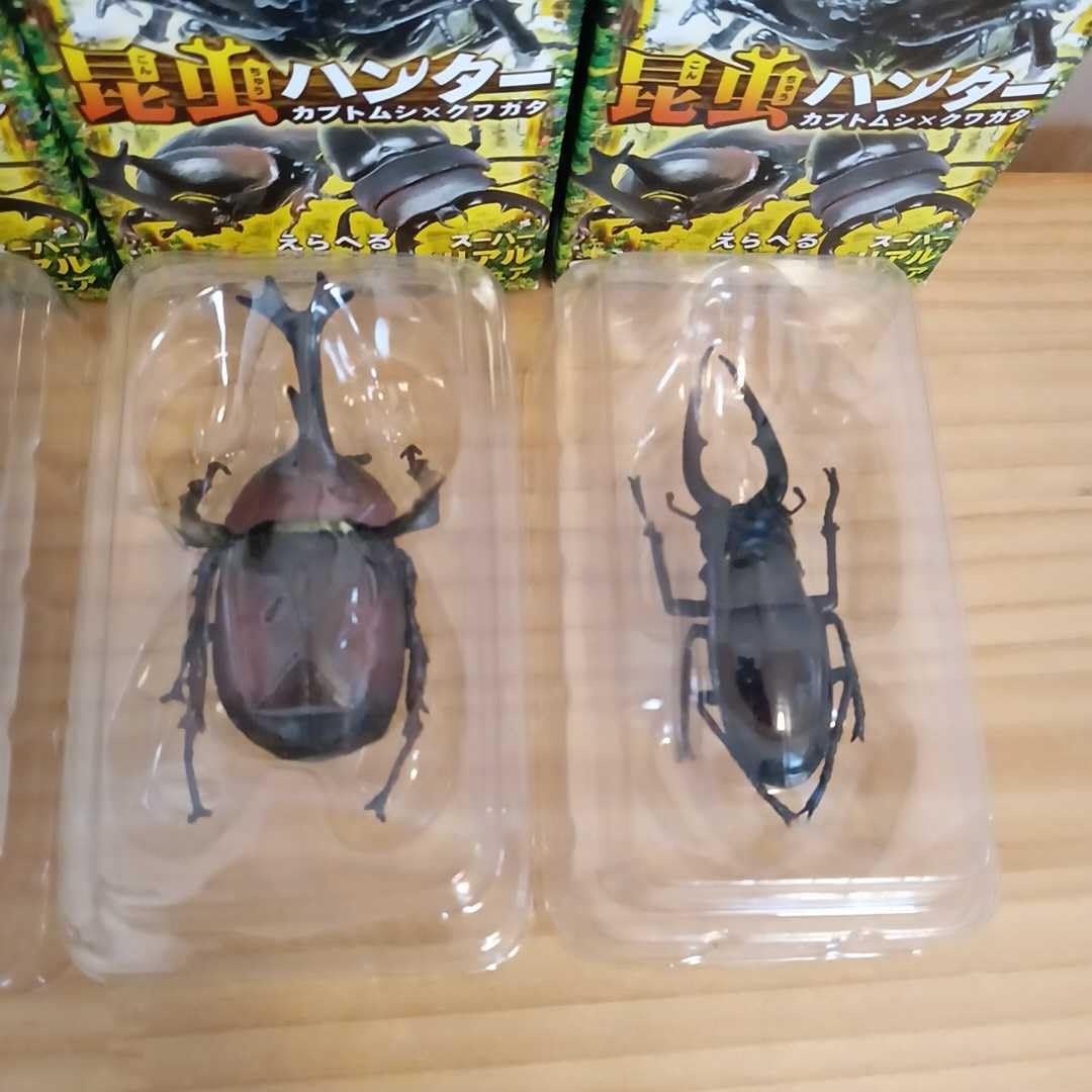 Amazon | 昆虫ハンター カブトムシ X クワガタ 食玩 スーパーリアル