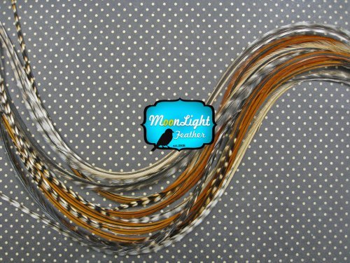 Moonlight Feather, Hair Extension Feathers - Unique Cree Color, 11+ Inches Long - 6 Feathers