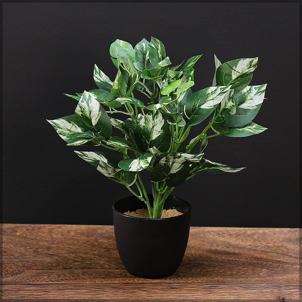Yatai Decor Pack of 2 Artificial Fake Small Plant Fake Plant in Plastic Pot for Home Office Garden Decoration โ Office Plants โ Indoor Plants โ Garden Plants - Balcony Plants, Green, KI-5154/60